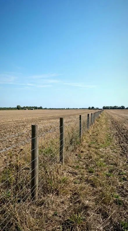 Graded with Land and Light: The fence after the sun went